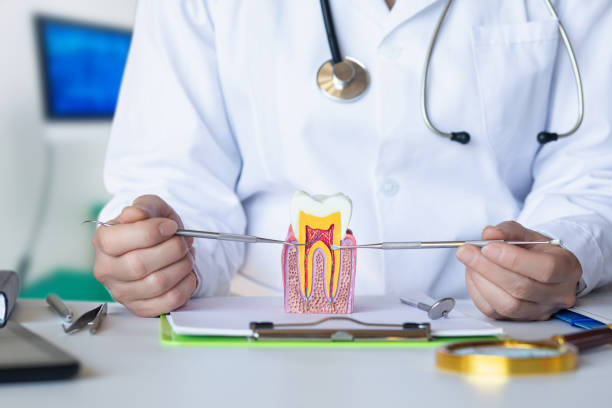 Best Emergency Root Canal Treatment in Trumann, AR